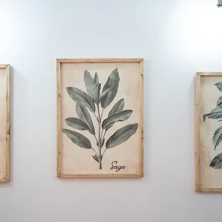Elsa D'ortigia Casa de hóspedes